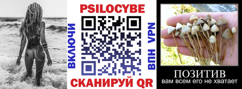 Галлюциногенные грибы GOLDEN TEACHER  купить наркотики цена  Урюпинск 